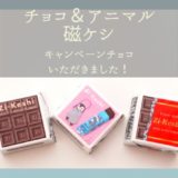 新発売チョコ＆アニマル磁ケシ　タイトル